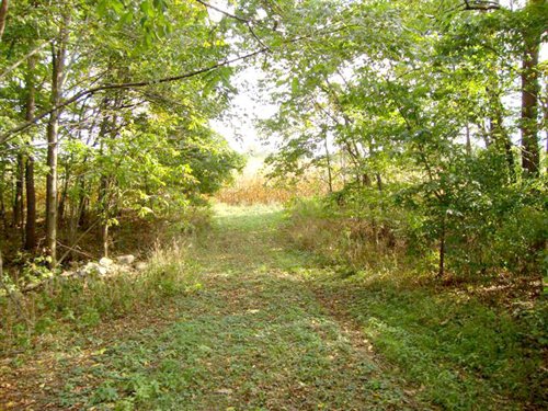 Property photo 2 - 39+/- Acres Offered in 3 Tracts